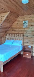 Cabaña Amazon Dreams Lodge - 4