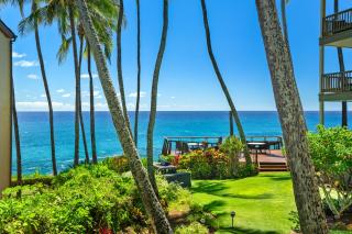 Direct Oceanfront Poipu Palms 101, Stunning Views, Pool, Sunsets, Beaches, Ground Floor access - 5
