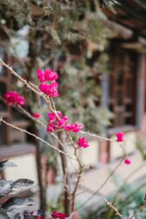 New Shiva Guest House - 5