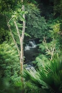 Sanggraloka Ubud - 3