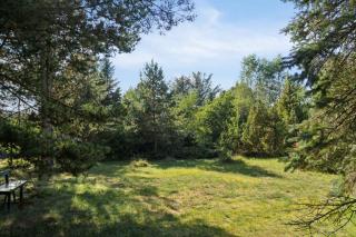 Cozy Cottage On Natural Plot - 5