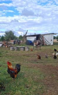 Cabaña Evaristo Ivan - 3