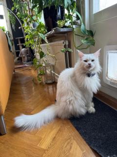 Muntergården i Nusnäs - 8