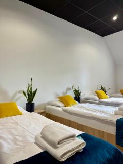 Podhalanin noclegi - 4