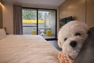 逢甲25行館Fengjia 25 Hotel - 0