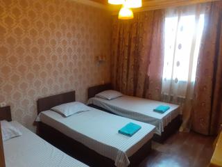 Светлый двор,гостевые дома - 0