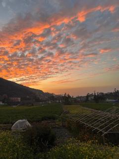 Calmsutra retreat - 7