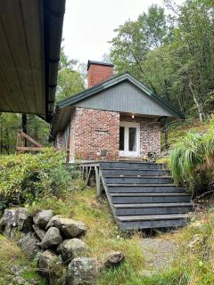 Lyngbakken - Hytte i skogen ved et vann - 9