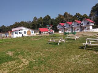 PILIBHIT Forest & Feast - 5