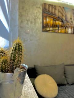 VV centar apartman - 1