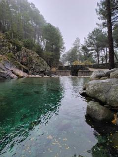 Hostal Fogón de Gredos - 8