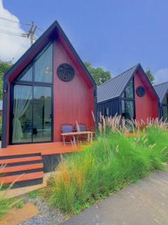 Nordic SkyBird Hill Chill - 8