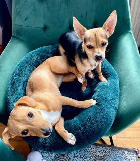 Ceol na dTonnta - Doolin - 4