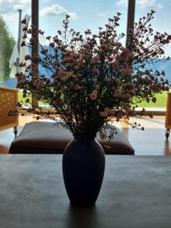 Villa Citriodora - 9