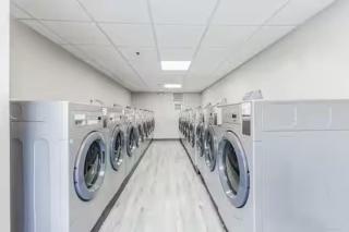 Exclusive Deluxe Queen Suite Luxury Boutique Building Downtown Hartford FREE PARKING - 1