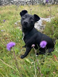 Ceol na dTonnta - Doolin - 5