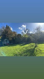 Charmant studio avec jardin arboré 15 min de Caen - 4