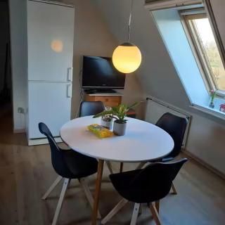 Cozy & Spacious Rooms for 4 Single Beds - 9