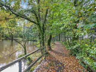 2 Bed in Holsworthy oc-millp - Clawton - 9