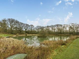 2 Bed in Beaworthy oc-wvttb - 8