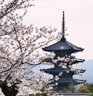 302 黒門市場至近1分 道頓堀8分 心斎橋9分 - 4