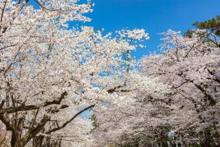 203新築セール黒門市場1分!道頓堀まで徒歩8分!心斎橋まで徒歩9分! - 6