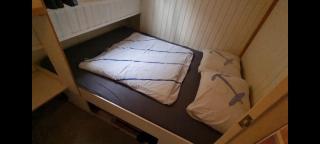 Paradijsvogel Enkhuizen - 7