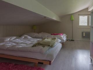 Duplex 6 pers, Animaux admis, Parking, Vue Mont Blanc - FR-1-517-11 - 2