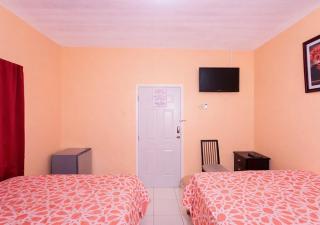 Scarlett Near Mount Zion - 8