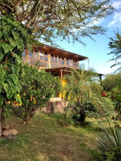 Yellow Submarine Hostal - 2