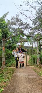 Má Si H'mông Homestay Tả Phìn - 1