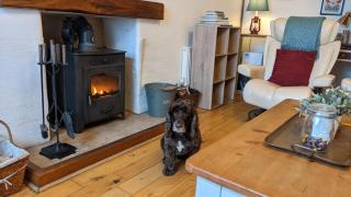Spring Garden Cottage, Grizebeck - 7