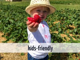 Ferienhaus Wiesengeflüster S1 - mit Sauna, Kamin und Workation an der Müritz - 9