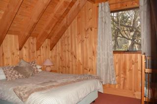 Snowdrop Lodge - 2