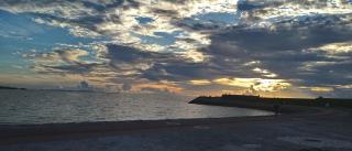 Big Tree JUDO ハウス - 5