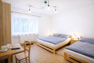 Large 3-Bedroom Apartment on Main Square with Free Parking - 6