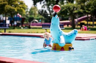 De Groene Specht - Tiny house - VP077 - 5