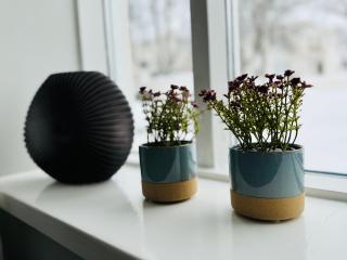 Scandinavian retro - 4