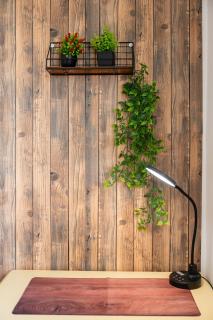 WILSON's Herbgarden Apartment operated by HostGuides - 4