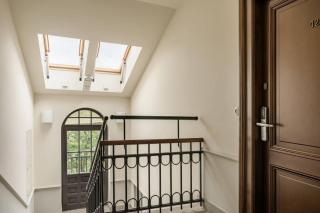 Urban Jungle - homfi collection - 6