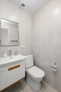 Aleq Manukyan street, 1 bedroom New Euro renovated, Sunny apartment AL777 - 6