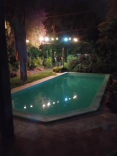 Kactus de la abuela - 6