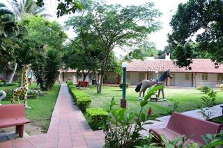 Hotel Serrano Martins - 8