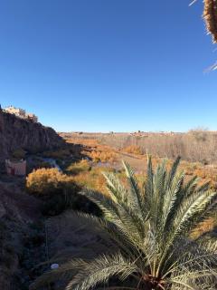 dar olivegarden inn - 4