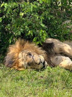 Escape Haven Mara - 7