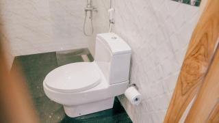 Winy Home Lovina - 6