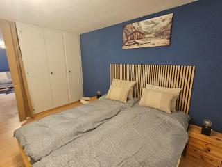 Magnifique appartement rénové à Leukerbad - 1