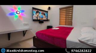 Blue Birds Homestay - 1