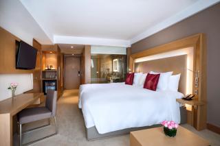 Novotel Yangon Max - 9