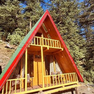 Pinehill cottage - 5